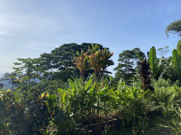 São Tomé: A Mountain Paradise Divulges its Colonial Past