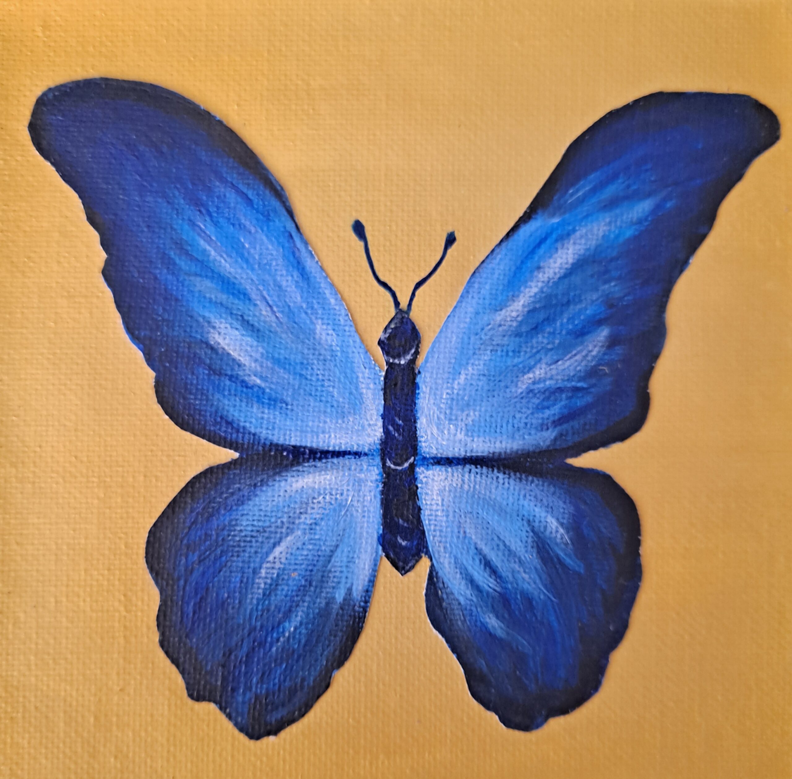 The Blue Butterfly on Canvas - A painting by Megan Bolash Fiorito